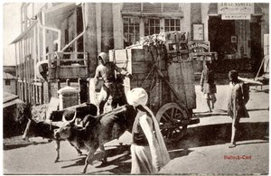 Chariot à bœufs, c.1900-20