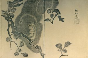 Singe, 1815, 1924 - Mori Sosen