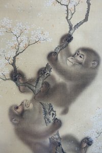 Singes dans un cerisier en fleurs, 1 sur 2, Mori Sosen, Japon, période Edo, début des années 1800, encre et couleur sur soie - Arthur M. Sackler Museum, Harvard University - DSC01127 - Mori Sosen