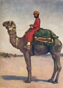 Un cavalier de chameau de Kota, 1903 - Mortimer L Menpes