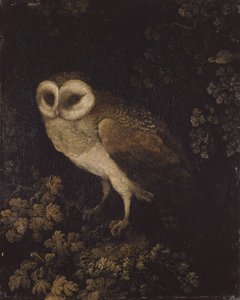 Un hibou