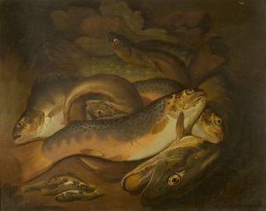 Poissons - Moses Haughton
