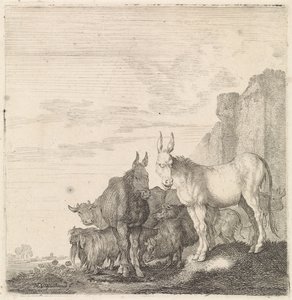 Ânes près d
