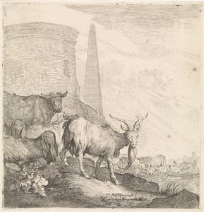 Chèvres et vaches près d