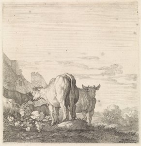 Vaches et chèvres dans un paysage avec maisons (Animaux à quatre pattes, série) - Moyses van Wtenbrouck