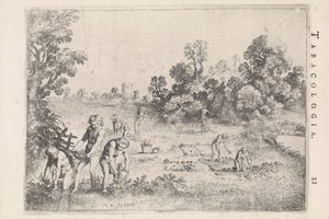 Amérindiens cueillant du tabac - Moyses van Wtenbrouck