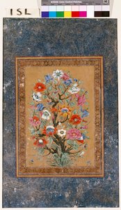 Plante mythique - Mughal School