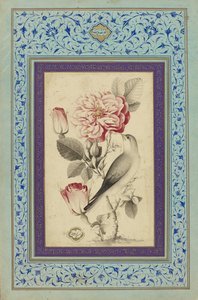 Roses et rossignol, fin du XVIIIe siècle - Muhammad Baqir
