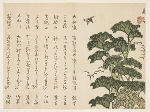 Grand arbre et oiseaux, vers 1830-44 - Murata Kagen