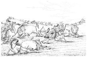 Amérindiens chassant le bison, 1841