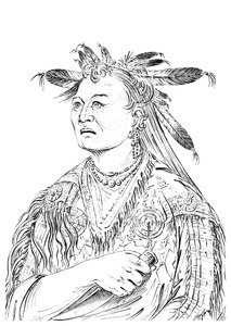 La Main Sanglante, Un des chefs de la tribu Riccaree, 1841
