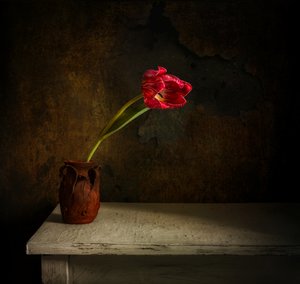  - Mykhailo Sherman