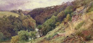 Un vallon dans le Devonshire - Myles Birket Foster