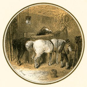Chevaux dans l