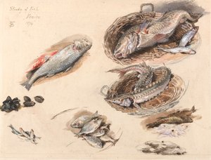 Étude de poissons, Venise - Myles Birket Foster