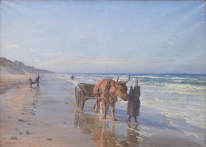 Les habitants de la côte tirent le filet à terre