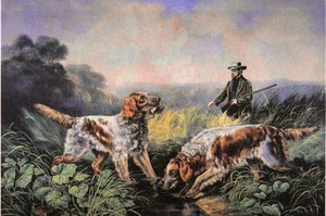 Sports de plein air américains : Récupération - N. and Ives J.M. (after) Currier