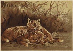 La tanière des voleurs - N. Parker