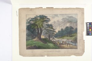 Les cèdres du Liban - N. and Ives J.M. (1824 95) Currier
