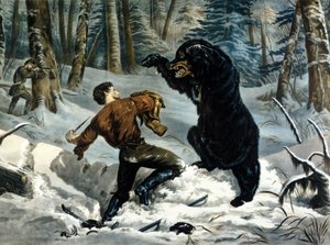 La vie des trappeurs (chasseurs professionnels) au Canada : un chasseur est attaqué par un ours grizzly. Illustration de Yves et Currier.