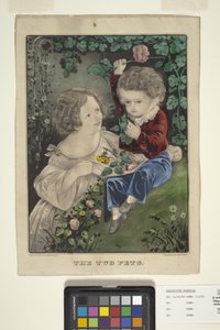 Les deux animaux de compagnie