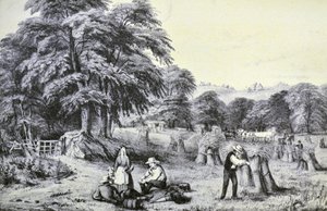 Récolte - N. and Ives, J.M. Currier