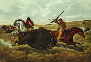 La vie dans la prairie - la chasse au bison, 1862