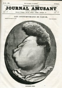 Couverture de "The Fun Journal" - Nadar