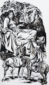 Contes de plusieurs pays : Le gui et le dieu-soleil - Nadir Quinto