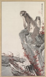 Singes près d