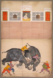 Deux éléphants se battant dans une cour devant Muhammad Shah, vers 1730-40
