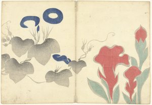 Liseron bleu et fleurs rouges (Prentenalbum van Korin, Korin gafu)