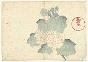 Pivoines - Nakamura Hochu