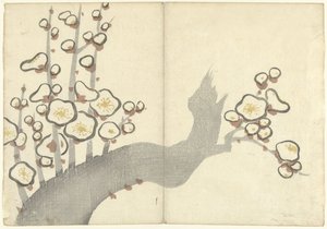 Fleurs de prunier - Nakamura Hochu