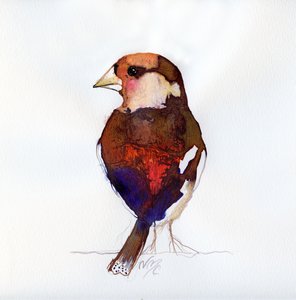 Bouvreuil rougissant, 2017 - Nancy Moniz Charalambous