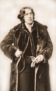Oscar Wilde (1854 - 1900) vers 1882 par Napoleon Sarony (1821 - 1896) - Napoleon Sarony