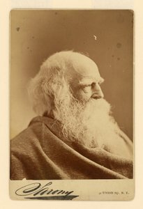 William Cullen Bryant - Napoleon Sarony
