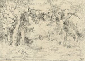 Paysage forestier en été - Narcisse Virgile Diaz de la Peña
