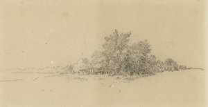 Lisière de forêt