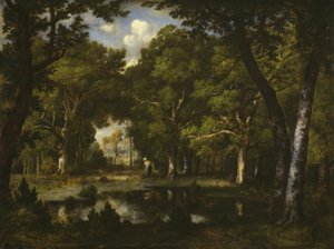 Étang dans les Bois