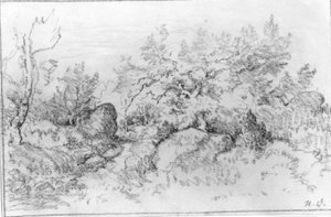 Vue de forêt - Narcisse Virgile Diaz de la Peña
