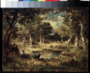 Paysage de forêt