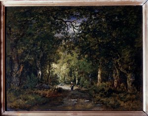 La route sous bois