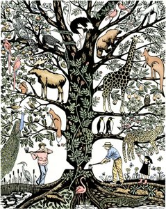 6e extinction de masse - Nat Morley