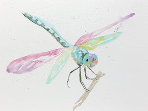 Des libellules sur une branche aux couleurs pastel - Natalie Bruns