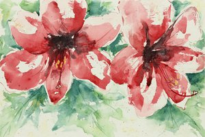 Fleurs d