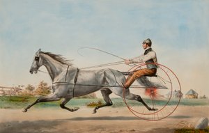 Eddy le gris - Nathaniel Currier