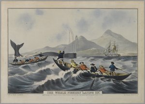 La pêche à la baleine 
