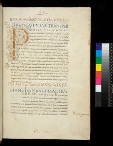 Ms 394.1. Pline l