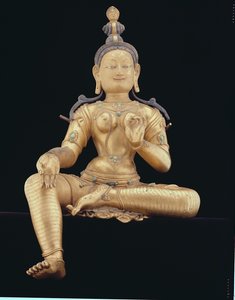 Tara - Nepalese School